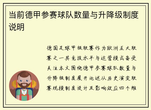 当前德甲参赛球队数量与升降级制度说明